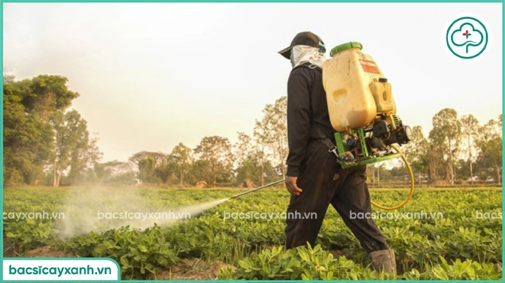 Bảo vệ bản thân trước tác hại của chlorothalonil
